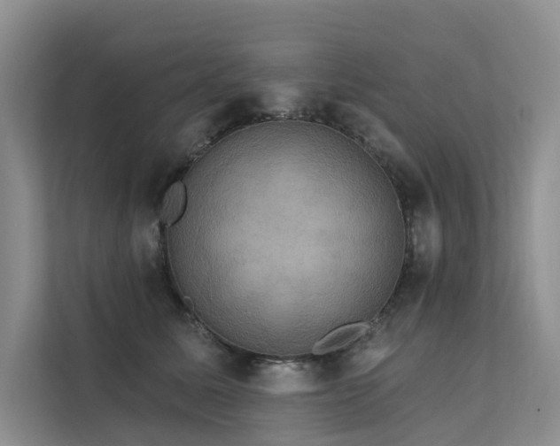 X0000112200611200908071435