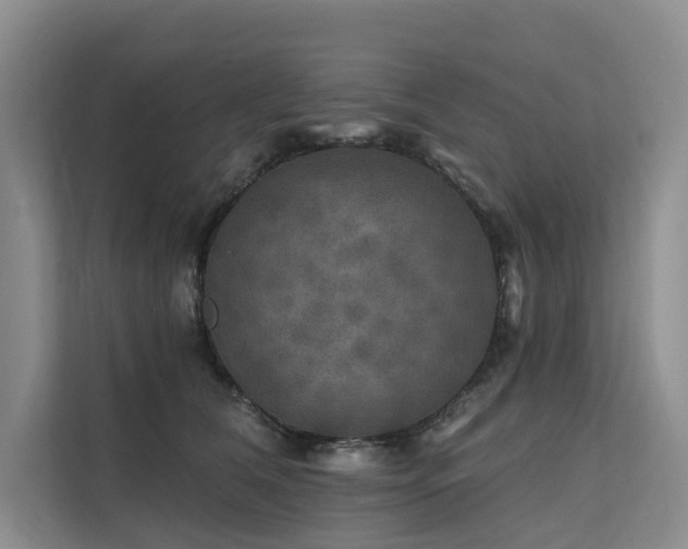 X0000112200612200908071435