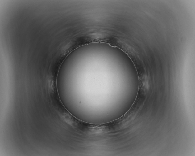 X0000112200615200908071435