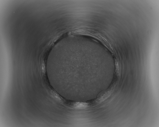 X0000112200617200908071435