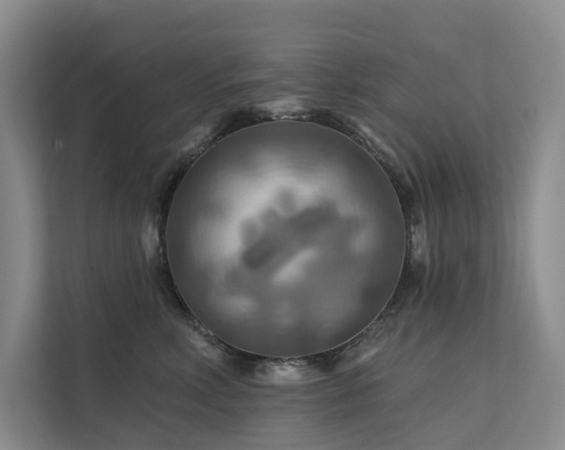 X0000112200618200908071435