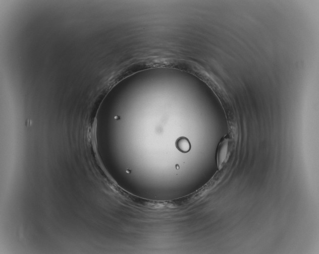 X0000112200621200908071435