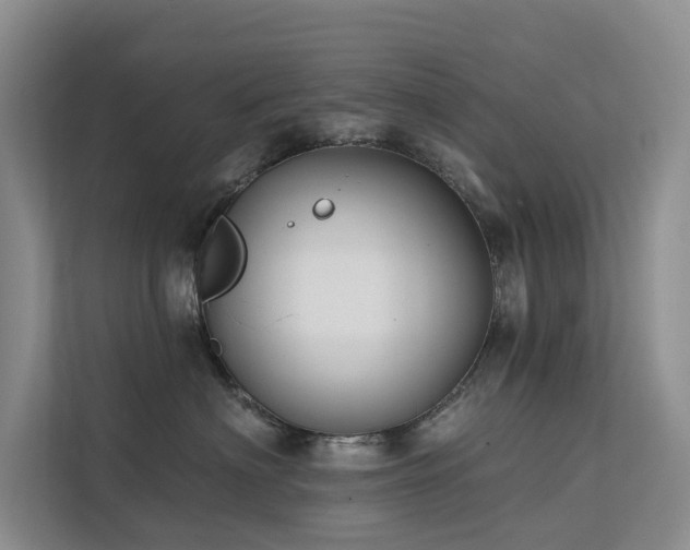 X0000112200622200908071435