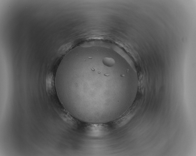 X0000112200623200908071435