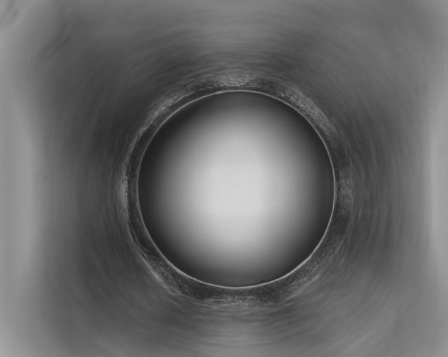 X0000112200626200908071434