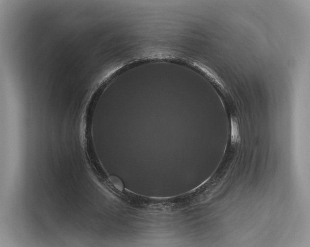 X0000112200627200908071434