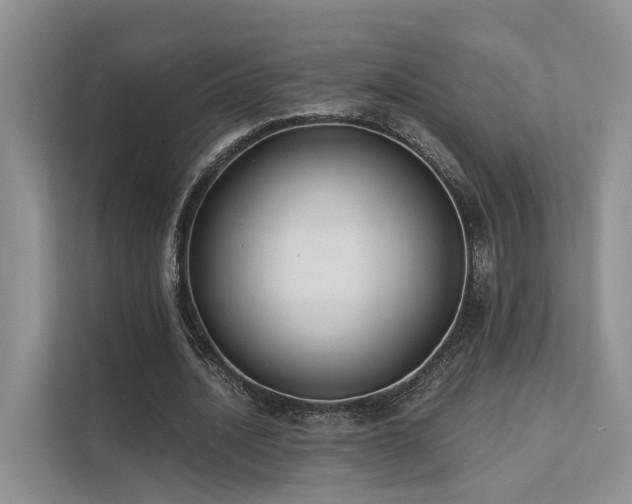 X0000112200628200908071434
