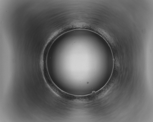 X0000112200630200908071434
