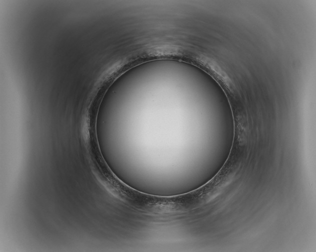 X0000112200631200908071434