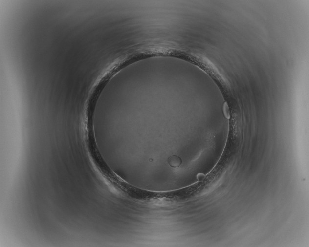 X0000112200634200908071435