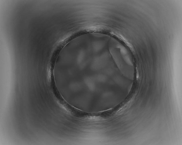 X0000112200637200908071435