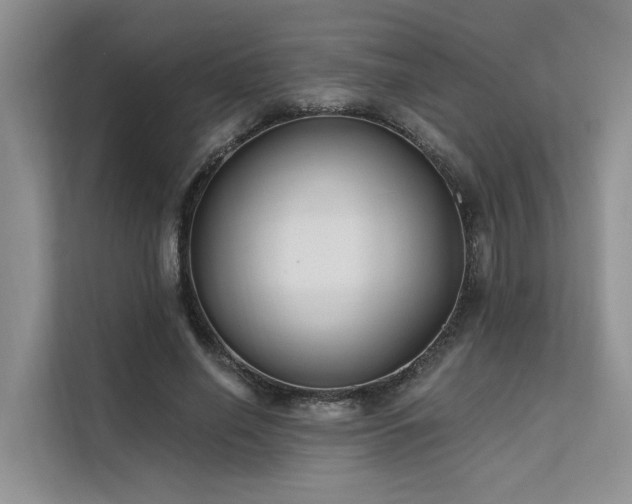 X0000112200638200908071435