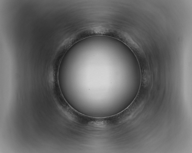X0000112200639200908071435