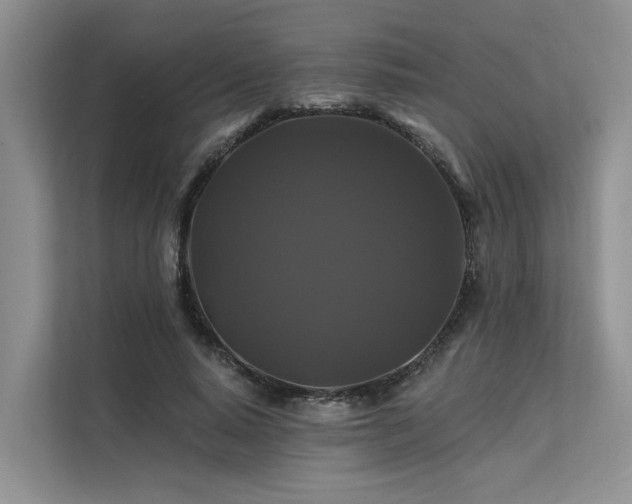 X0000112200640200908071435