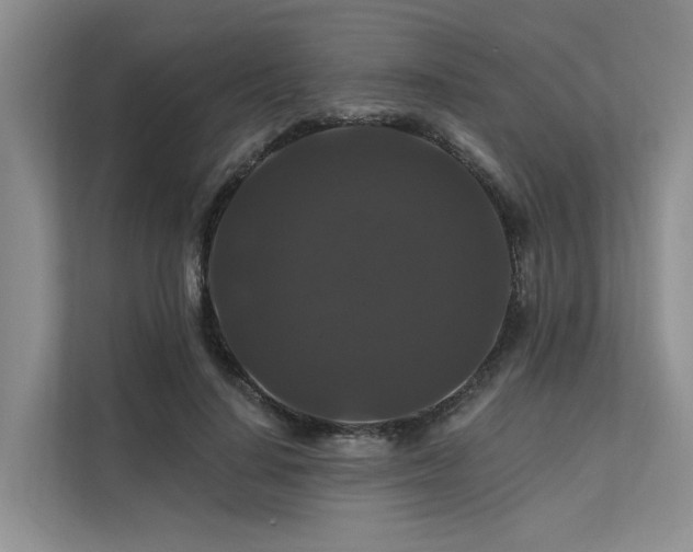 X0000112200644200908071435