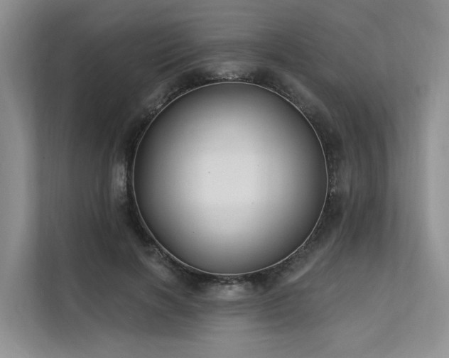X0000112200646200908071435