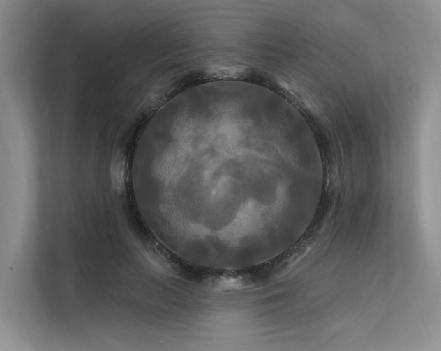 X0000112200647200908071435