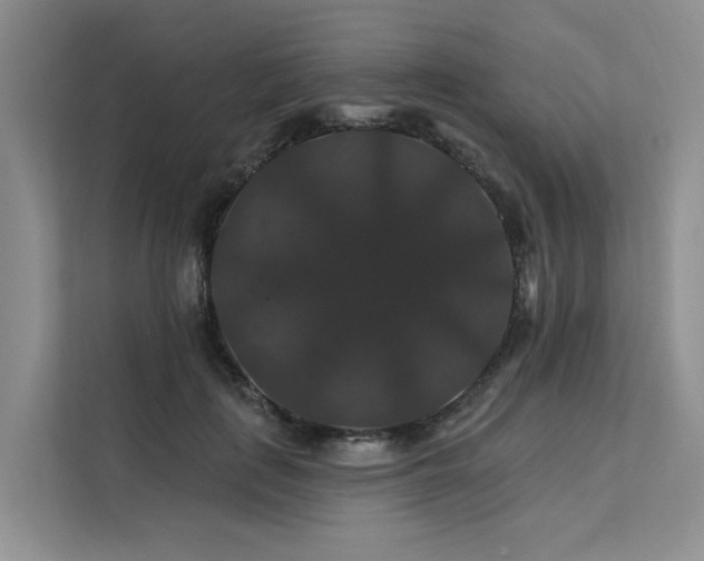 X0000112200651200908071435