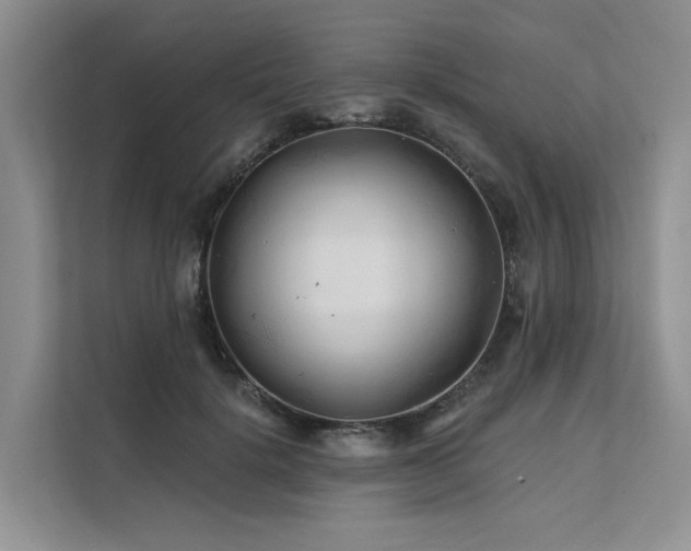 X0000112200652200908071435