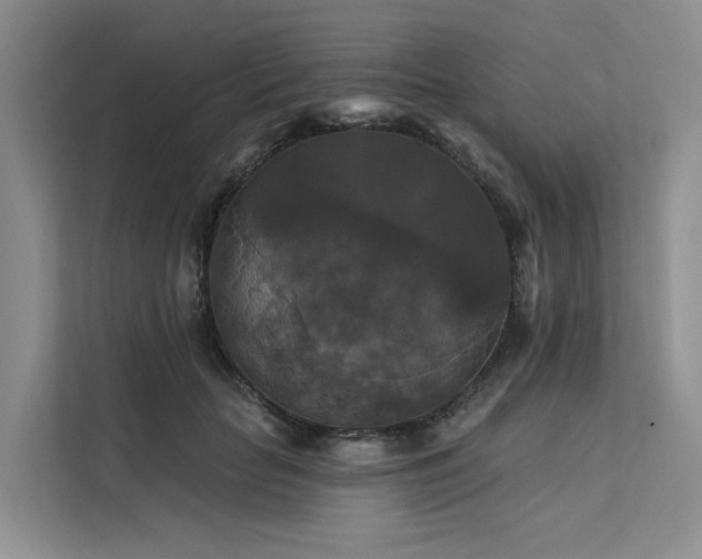 X0000112200653200908071435