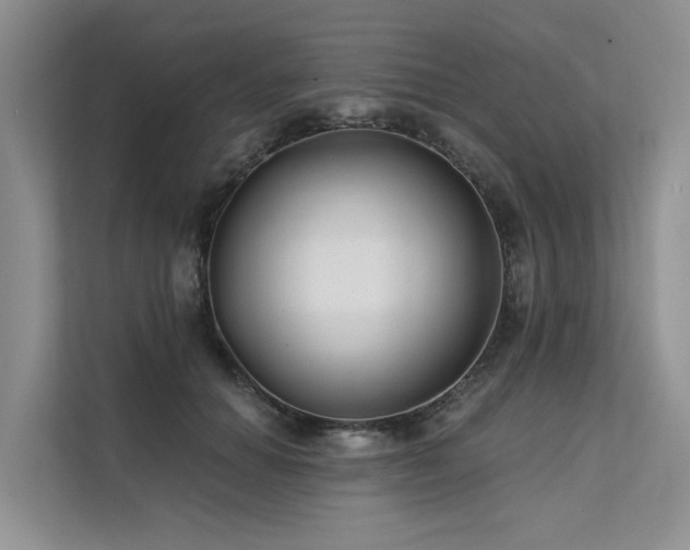 X0000112200654200908071435