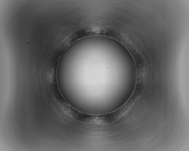 X0000112200656200908071435