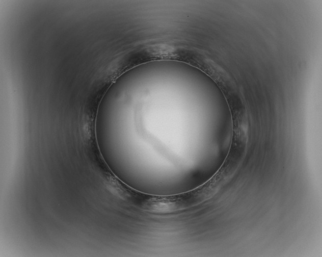 X0000112200658200908071435