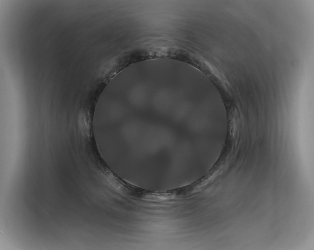 X0000112200661200908071435
