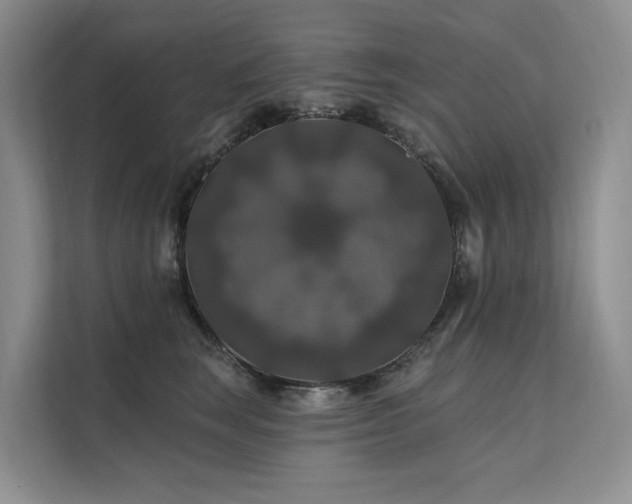 X0000112200663200908071435