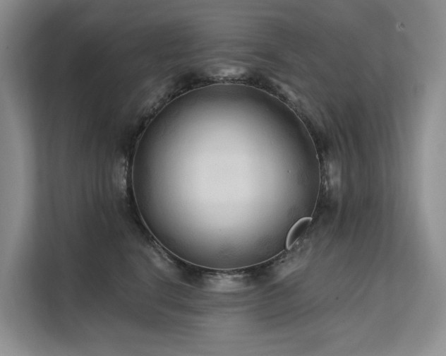 X0000112200664200908071435