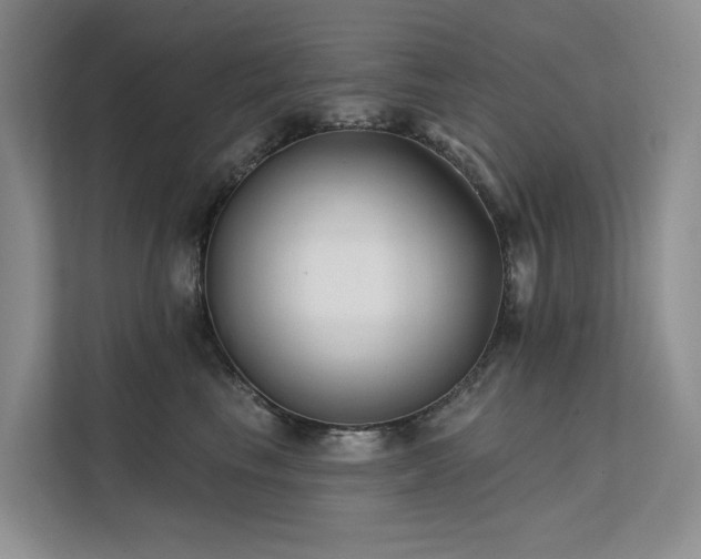 X0000112200665200908071435