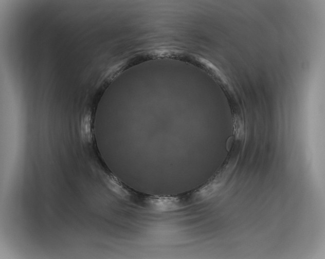 X0000112200670200908071435