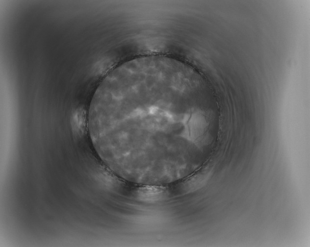 X0000112200672200908071435