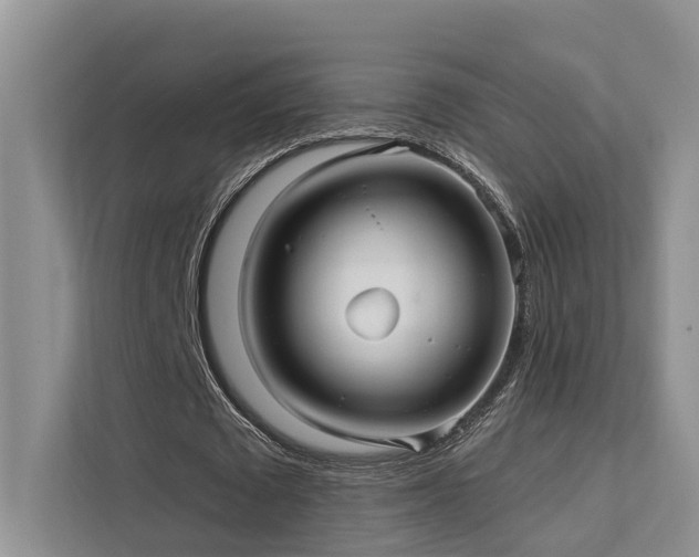 X0000112200673200908071434