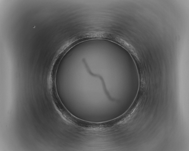 X0000112200674200908071434