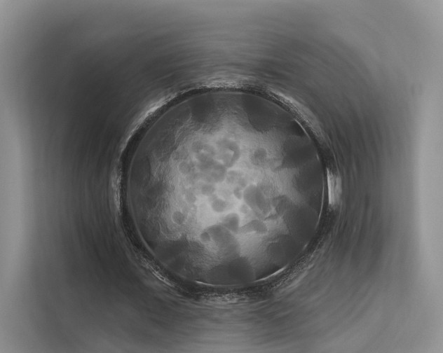 X0000112200675200908071434