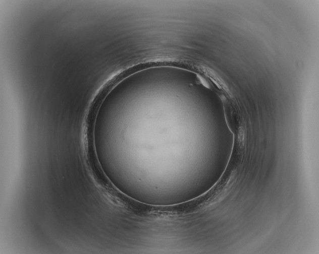 X0000112200676200908071434