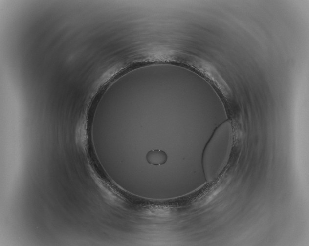 X0000112200677200908071434