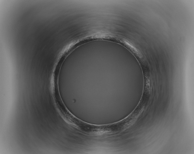 X0000112200678200908071434