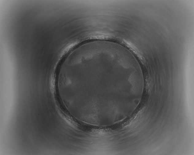 X0000112200679200908071434