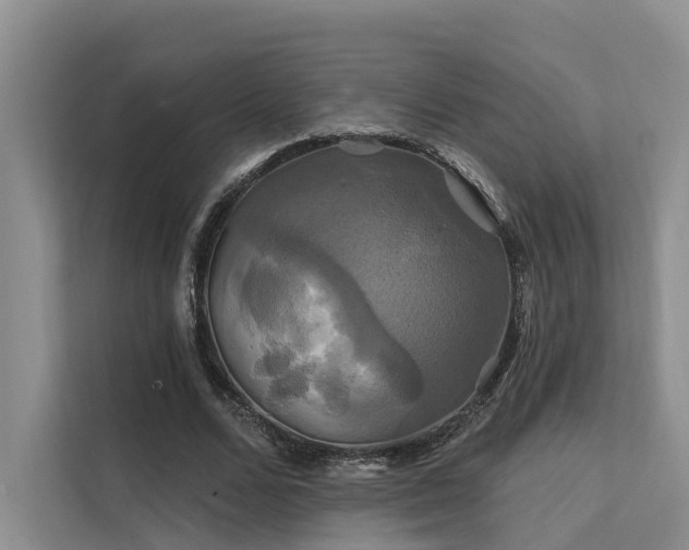 X0000112200680200908071434