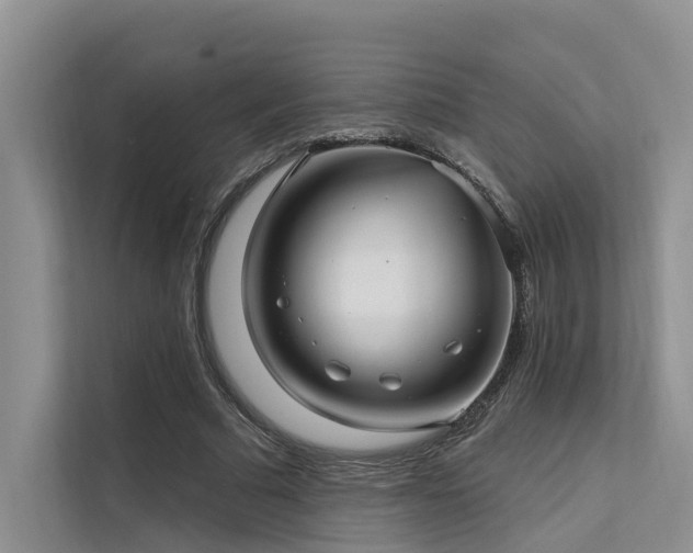 X0000112200681200908071434