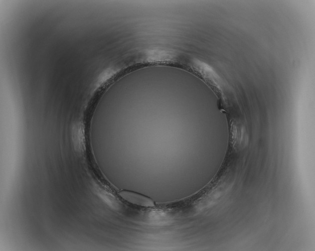X0000112200684200908071434