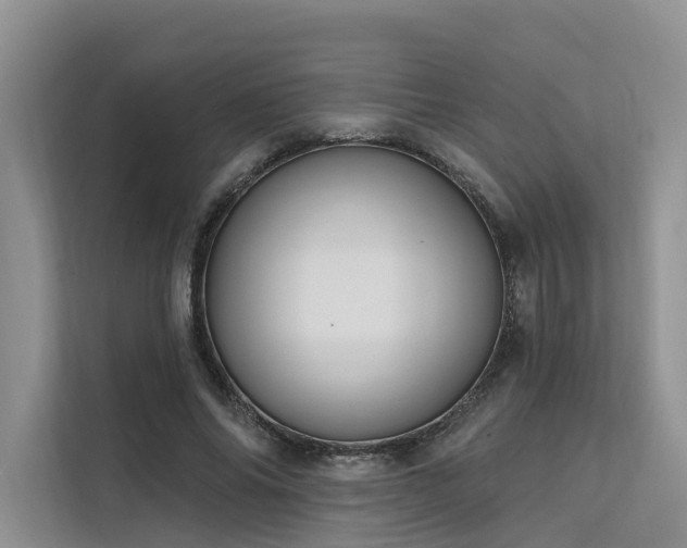 X0000112200686200908071434