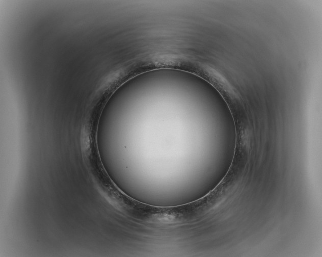 X0000112200687200908071434