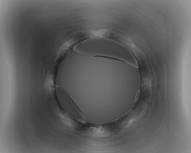 X0000112200688200908071434