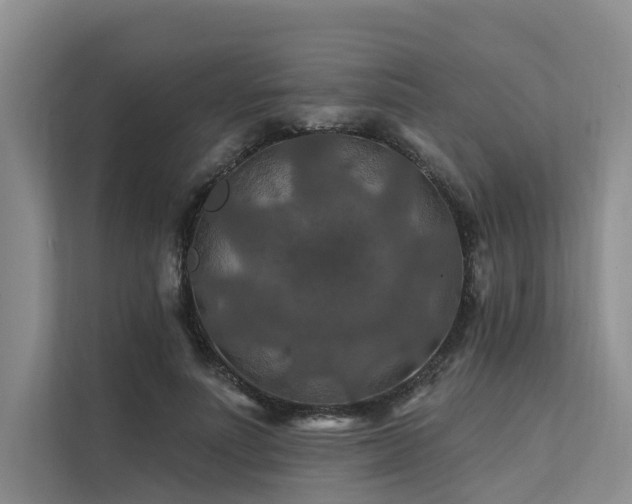 X0000112200691200908071434