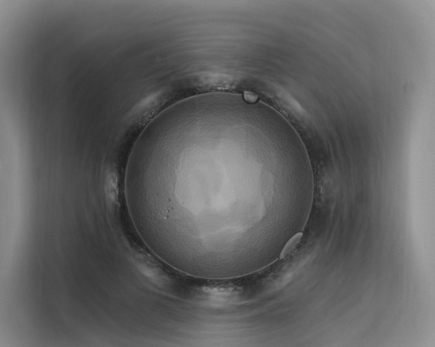 X0000112200693200908071434