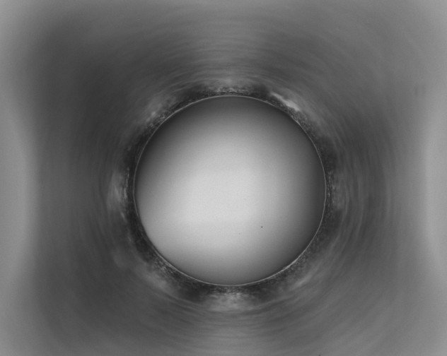 X0000112200695200908071434