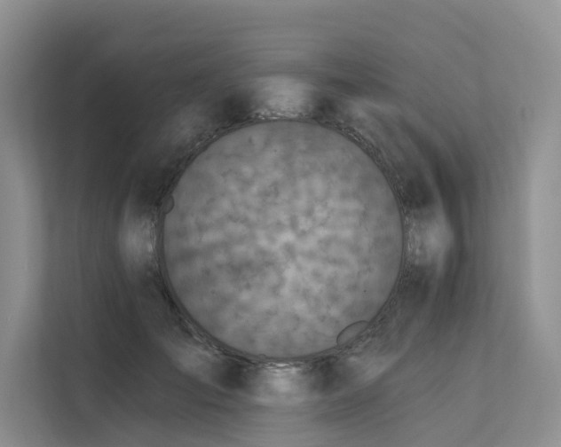 X0000112200701200908071434